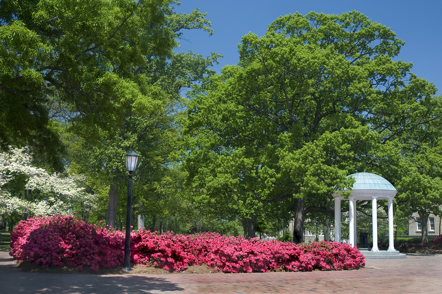 The Old Well at University of North Carolina Chapel Hill