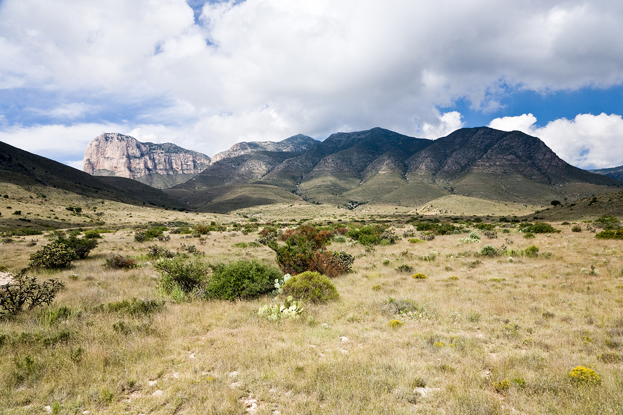 Guadalupe Mountains National Park in Texas USA