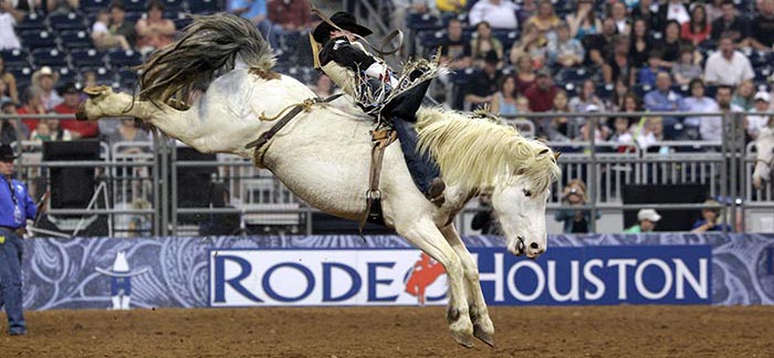 source: rodeohouston.com