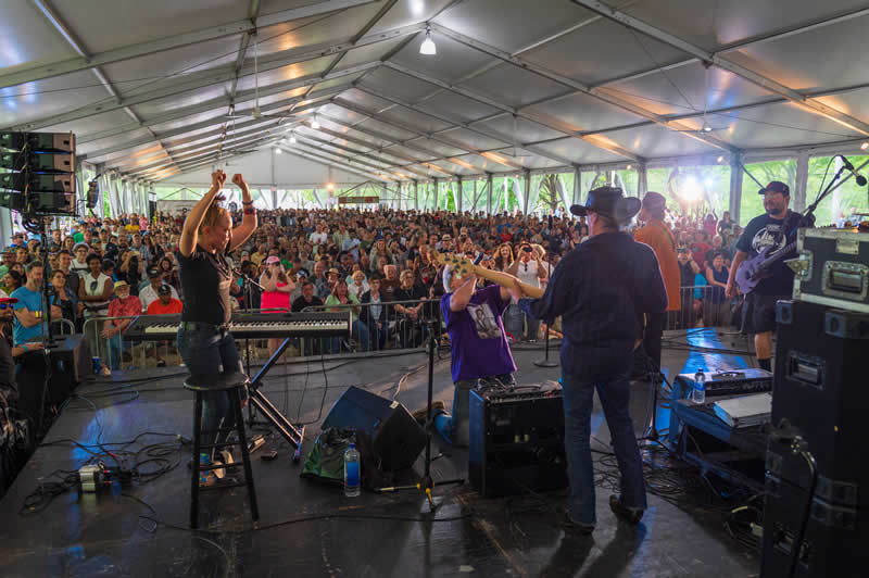 Chicago Blues Festival